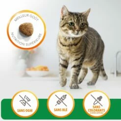 IAMS For Vitality Adult à L'agneau & Poulet -Promos Wanimo Boutique iams for vitality adult a l agneau poulet adult a l agneau poulet 2