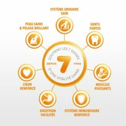 IAMS For Vitality Adult à L'agneau & Poulet -Promos Wanimo Boutique iams for vitality adult a l agneau poulet adult a l agneau poulet 3