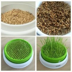 Jardin D'herbe Senses Design 10 Jardin D'herbe Senses Design -Promos Wanimo Boutique jardin d herbe senses design cat it 4