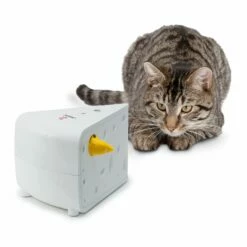 Jeu Casse-tête Cheese FroliCat -Promos Wanimo Boutique jeu casse tete cheese frolicat frolicat 2