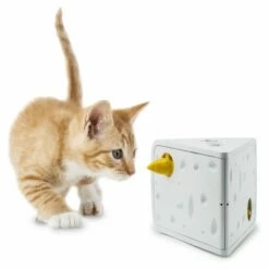 Jeu Casse-tête Cheese FroliCat