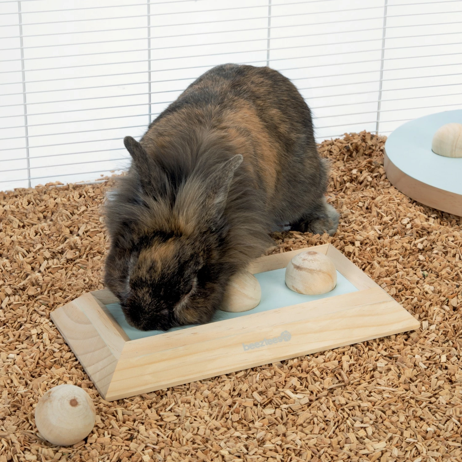 Beeztees Jeu éducatif Ballira 2 Beeztees Jeu éducatif Ballira – Image 2