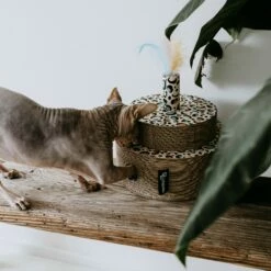 District 70 Jouet à Griffer Fiesta -Promos Wanimo Boutique jouet a griffer fiesta district 1 3