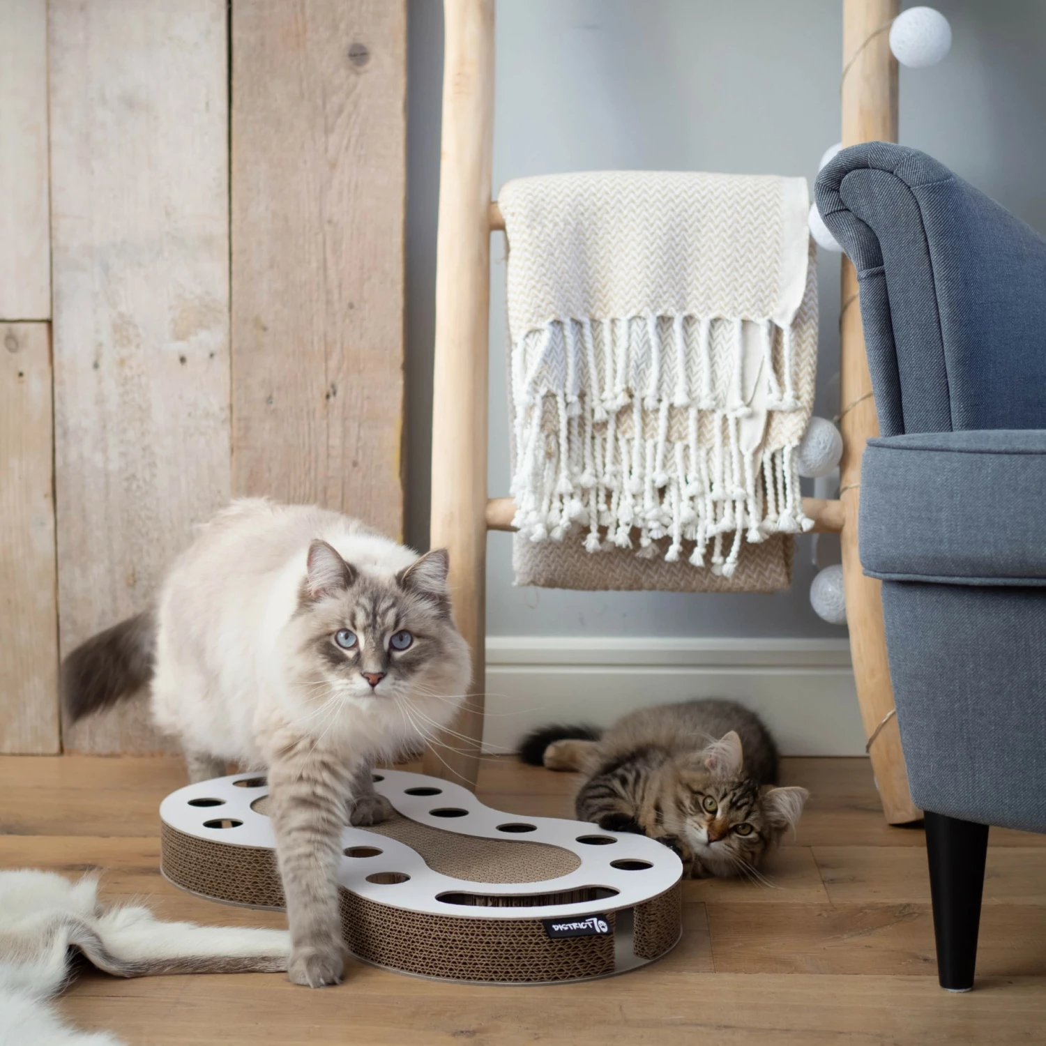 District 70 Jouet à Griffer Snake 4 District 70 Jouet à Griffer Snake – Image 4