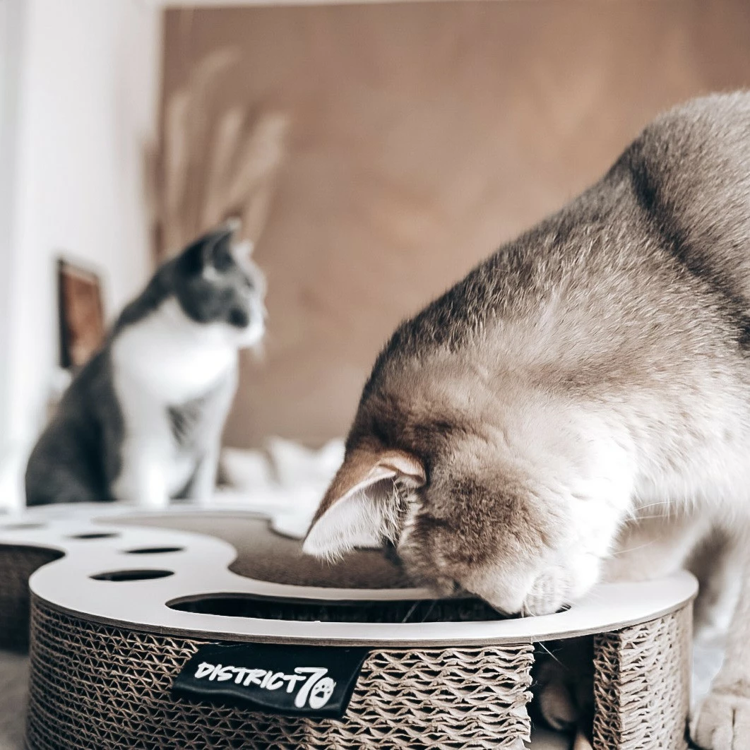 District 70 Jouet à Griffer Snake 5 District 70 Jouet à Griffer Snake – Image 5