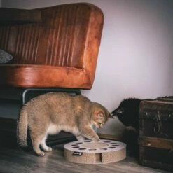 District 70 Jouet à Griffer Whirl -Promos Wanimo Boutique jouet a griffer whirl district 1 2