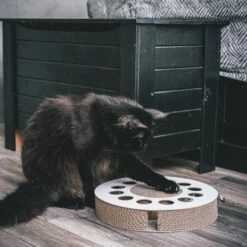 District 70 Jouet à Griffer Whirl -Promos Wanimo Boutique jouet a griffer whirl district 1 3