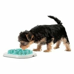 Savic Jouet éducatif Enigma - Niveau Avancé 5 Savic Jouet éducatif Enigma - Niveau Avancé -Promos Wanimo Boutique jouet educatif enigma niveau avance savic 2