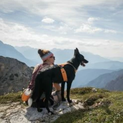 Ruffwear Kit Omnijore Joring System -Promos Wanimo Boutique kit omnijore joring system ruffwear 8