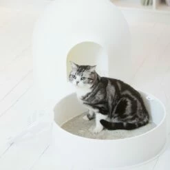 L'Igloo -Promos Wanimo Boutique l igloo pidan studio 3