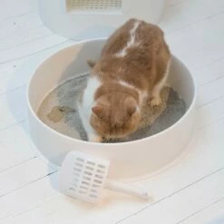 L'Igloo -Promos Wanimo Boutique l igloo pidan studio 4