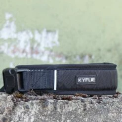 Laisse Ceinture élastique Otium -Promos Wanimo Boutique laisse ceinture elastique otium kyflie 3