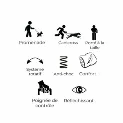 Laisse Ceinture élastique Otium -Promos Wanimo Boutique laisse ceinture elastique otium kyflie 4