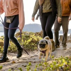 Ruffwear Laisse Front Range - Violet -Promos Wanimo Boutique laisse front range violet ruffwear 5