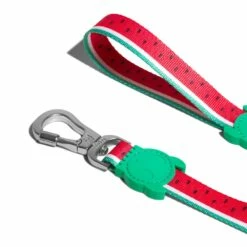 Laisse Lola – Rouge Pastèque 6 Laisse Lola – Rouge Pastèque -Promos Wanimo Boutique laisse lola rouge pasteque zee dog 2