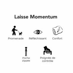 Laisse Momentum Pour Chien 5 Laisse Momentum Pour Chien -Promos Wanimo Boutique laisse momentum pour chien kyflie 2