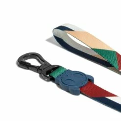 Laisse Pacco – Multicolore -Promos Wanimo Boutique laisse pacco multicolore zee dog 2