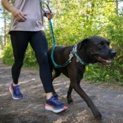 Ruffwear Laisse Réfléchissante Main-libre Crag – Bleu & Jaune -Promos Wanimo Boutique laisse reflechissante main libre crag bleu jaune ruffwear 6