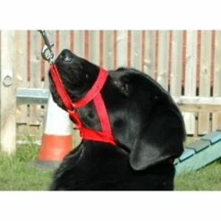 Licol Halti -Promos Wanimo Boutique licol halti 1 2