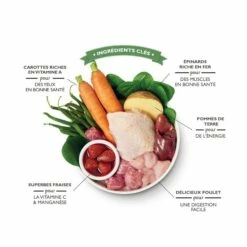 Lily's Kitchen An English Garden Party -Promos Wanimo Boutique lily s kitchen an english garden party an english garden party 2