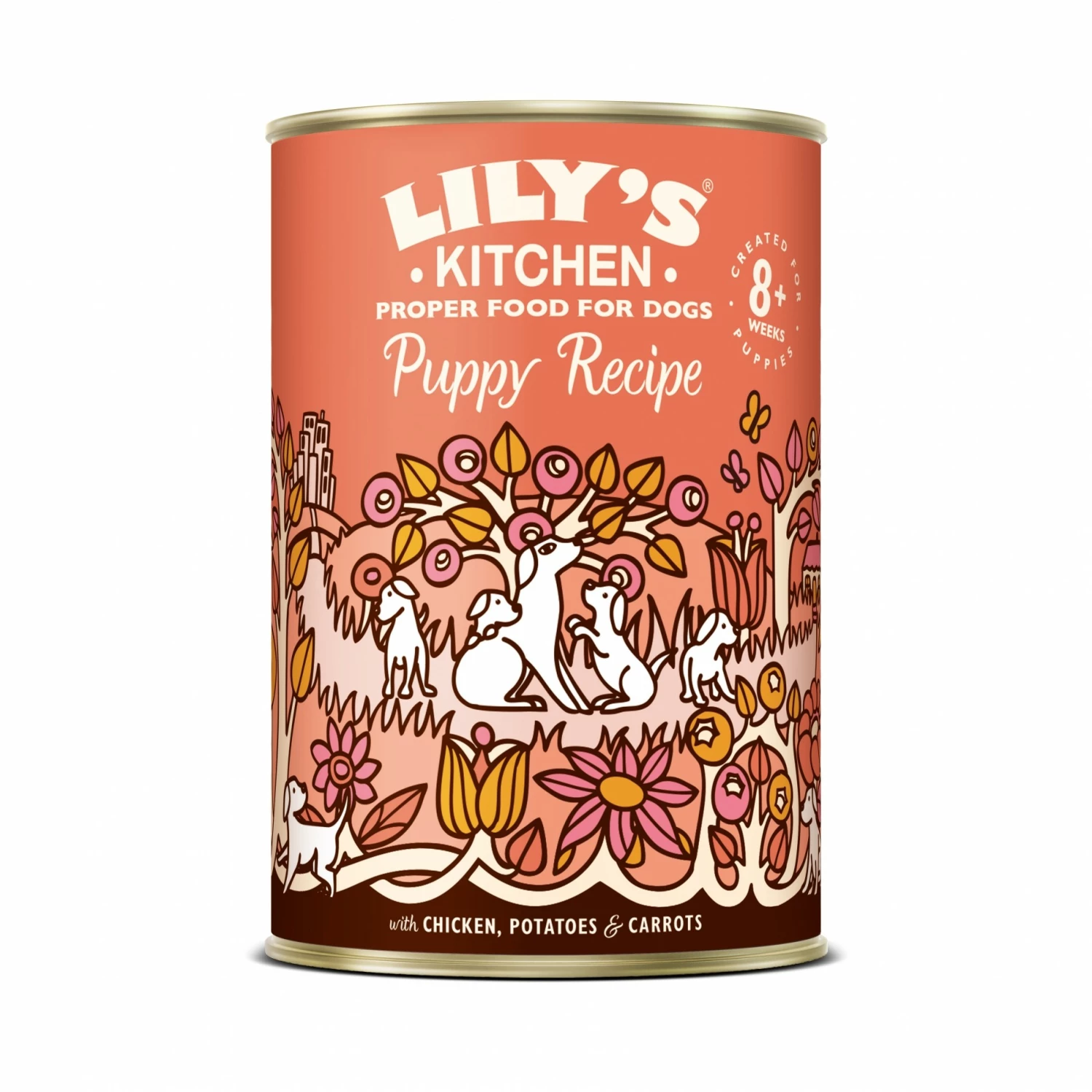 Lily's Kitchen Pâtée Chiot 1 Lily's Kitchen Pâtée Chiot