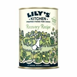 Lily's Kitchen Pâtée Recovery Recipe