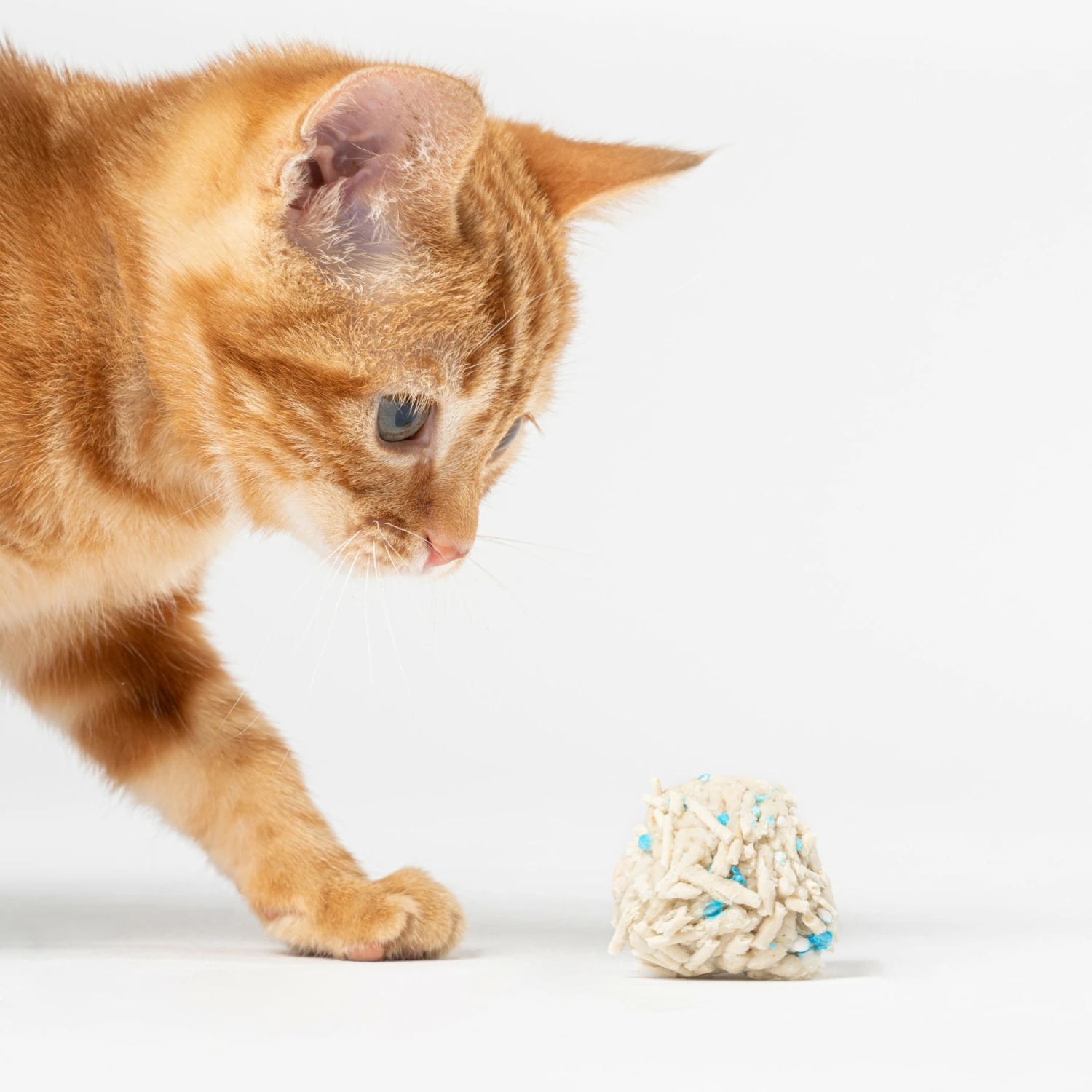 Litière Tofu 7 Litière Tofu – Image 7