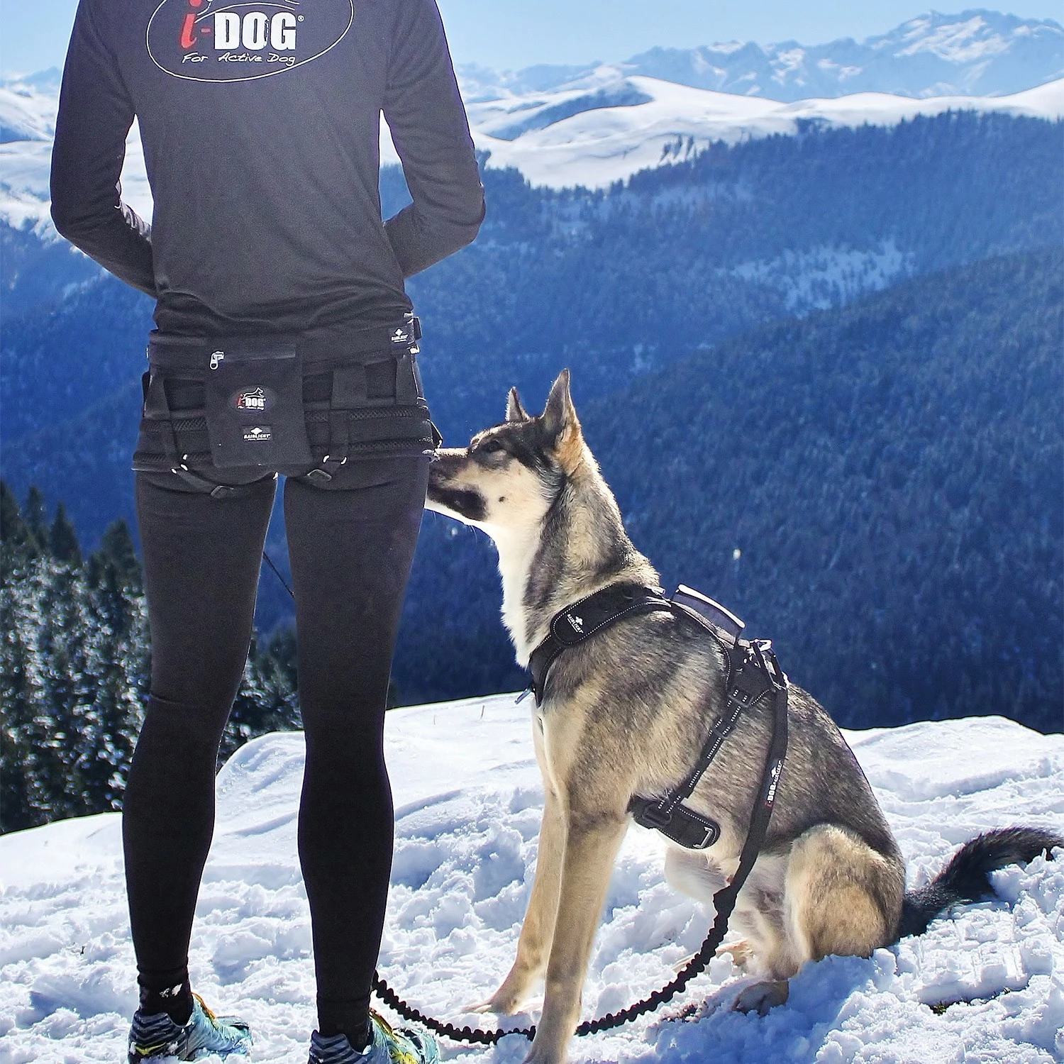 Longe De Traction Raidlight 3 Longe De Traction Raidlight – Image 3