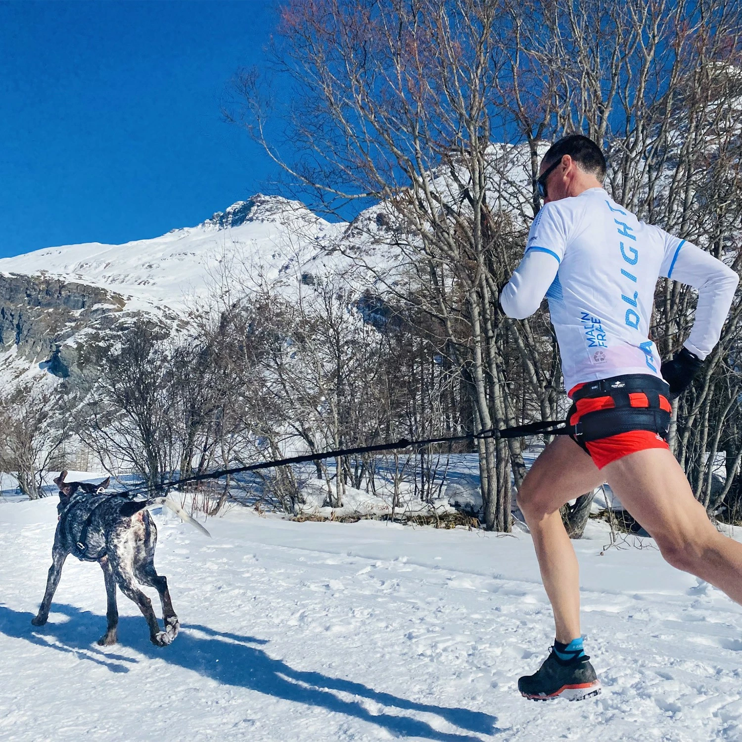 Longe De Traction Raidlight 4 Longe De Traction Raidlight – Image 4