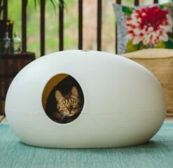 Maison De Toilette Poopoopeedo