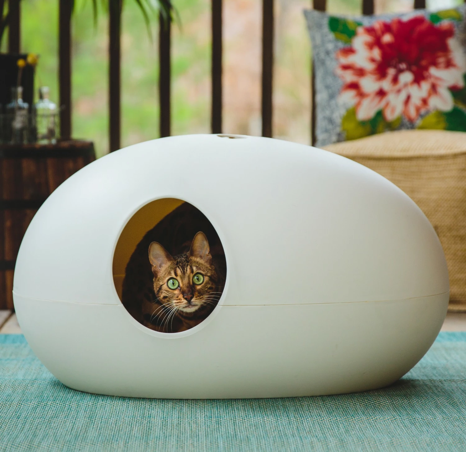 Maison De Toilette Poopoopeedo 1 Maison De Toilette Poopoopeedo