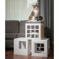 Maison Katt3 -Promos Wanimo Boutique maison katt be one breed 3