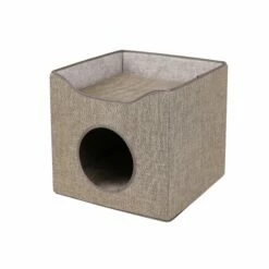 Maison Toit Terrasse