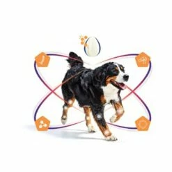 Virbac Movoflex -Promos Wanimo Boutique movoflex virbac 3