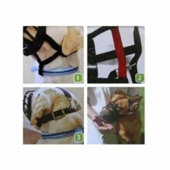 Company Of Animals Muselière Baskerville Ultra -Promos Wanimo Boutique museliere baskerville ultra compagny of animals 3