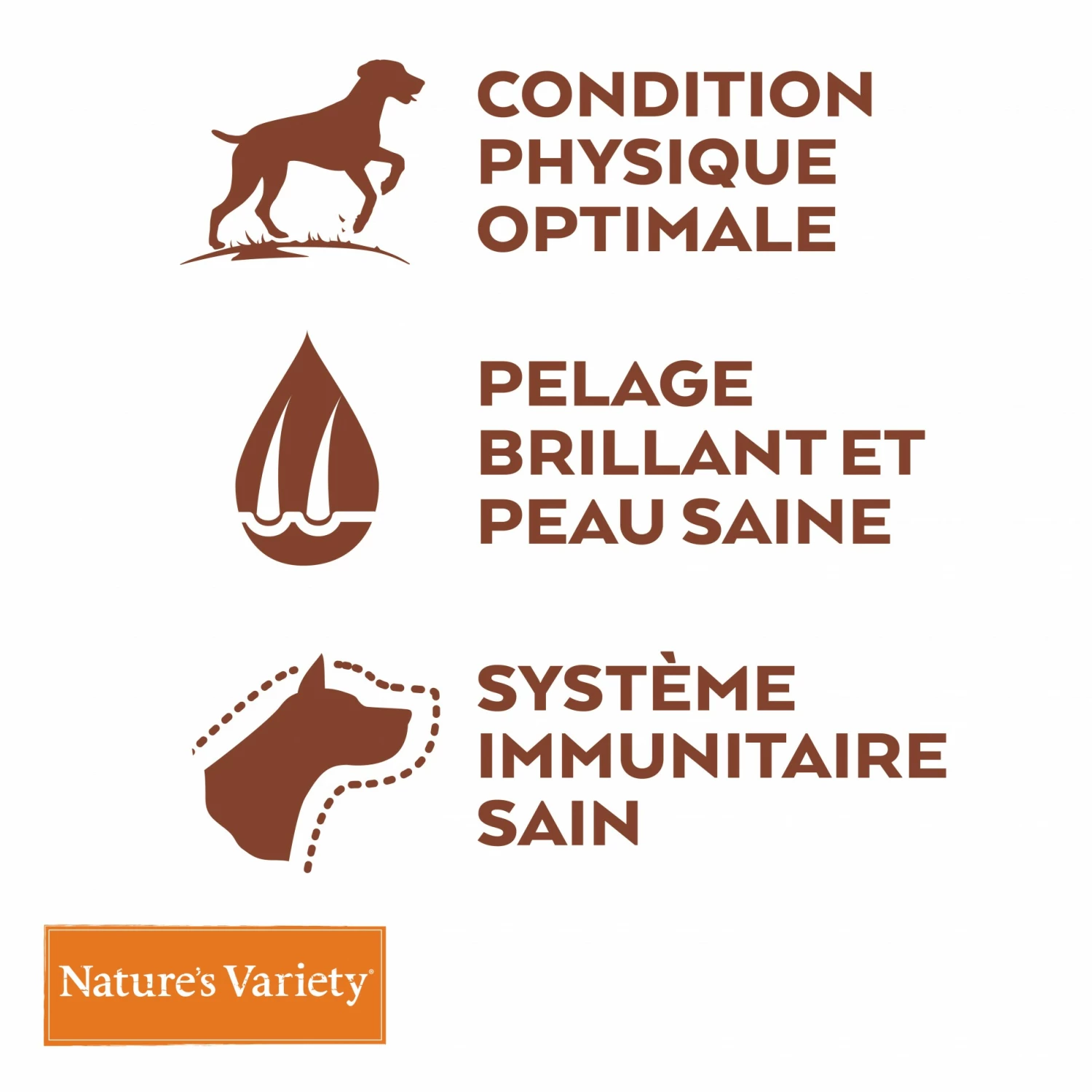 Nature's Variety Selected No Grain Medium Maxi Adult 6 Nature's Variety Selected No Grain Medium Maxi Adult – Image 6