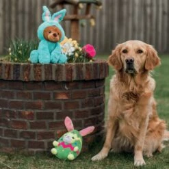 Beeztees Ours Bunny Barry 5 Beeztees Ours Bunny Barry -Promos Wanimo Boutique ours bunny barry beeztess 2