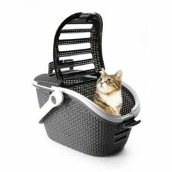 Curver Panier De Transport Petlife -Promos Wanimo Boutique panier de transport petlife curver 2