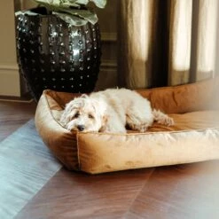 District 70 Panier Shimmer - Jaune Ocre -Promos Wanimo Boutique panier shimmer jaune ocre district 1 5