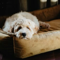 District 70 Panier Shimmer - Jaune Ocre -Promos Wanimo Boutique panier shimmer jaune ocre district 1 6