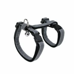 Parure Harnais Et Laisse Flash