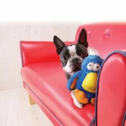 Peluche Dodo KONG -Promos Wanimo Boutique peluche dodo kong kong 2