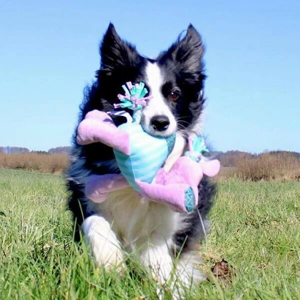 KONG Peluche Knots Carnival Camel 2 KONG Peluche Knots Carnival Camel – Image 2