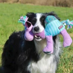 KONG Peluche Knots Carnival Camel 5 KONG Peluche Knots Carnival Camel -Promos Wanimo Boutique peluche knots carnival camel kong 2