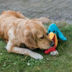 Beeztees Peluche Pélican -Promos Wanimo Boutique peluche pelican beeztees 2