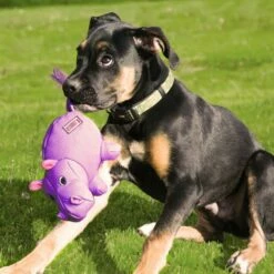 KONG Peluche Phatz -Promos Wanimo Boutique peluche phatz kong 2