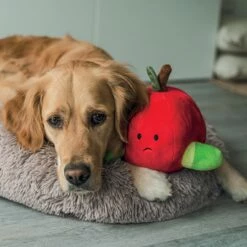 Beeztees Peluche Pomme -Promos Wanimo Boutique peluche pomme beeztees 2