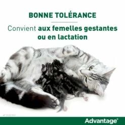 Pipettes Advantage Chat -Promos Wanimo Boutique pipettes advantage chat elanco 3