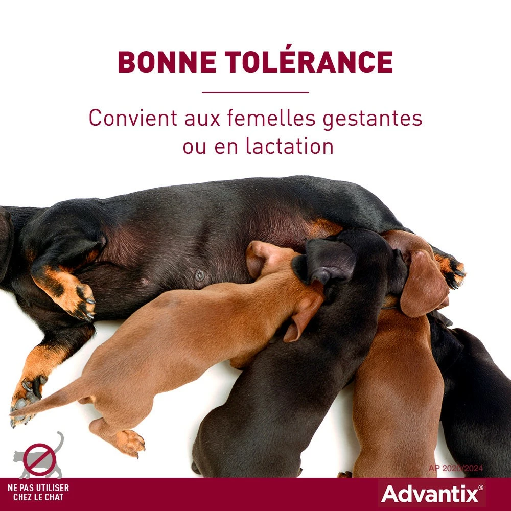 Pipettes Advantix Chien 12 Pipettes Advantix Chien – Image 12
