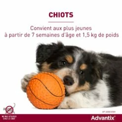 Pipettes Advantix Chien 27 Pipettes Advantix Chien -Promos Wanimo Boutique pipettes advantix chien elanco 12